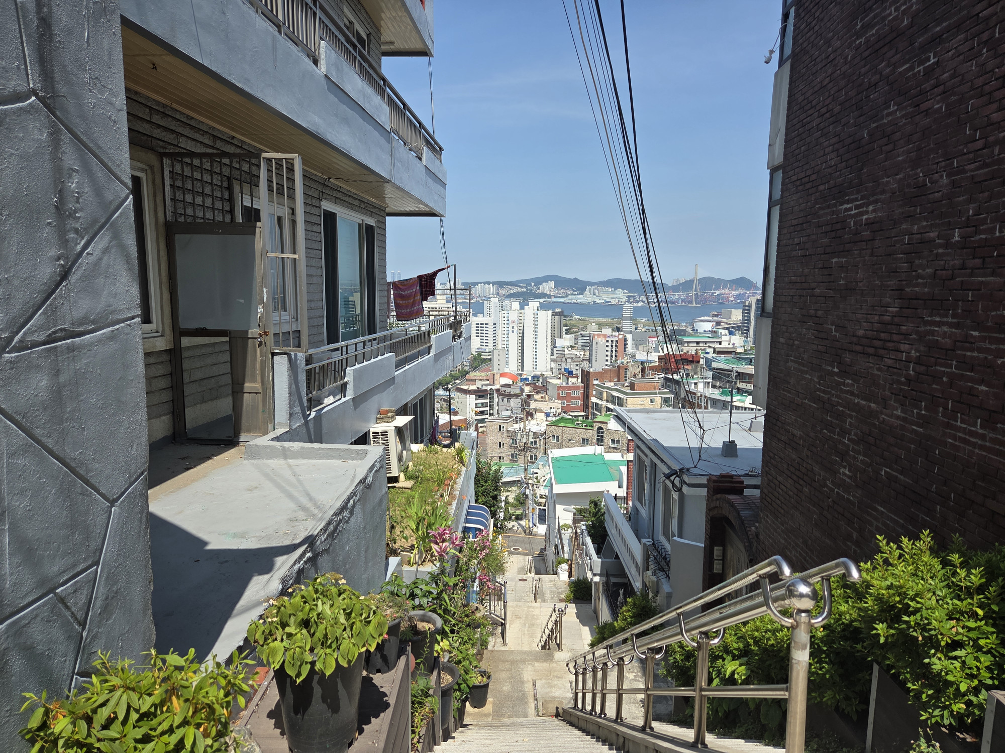 이미지1