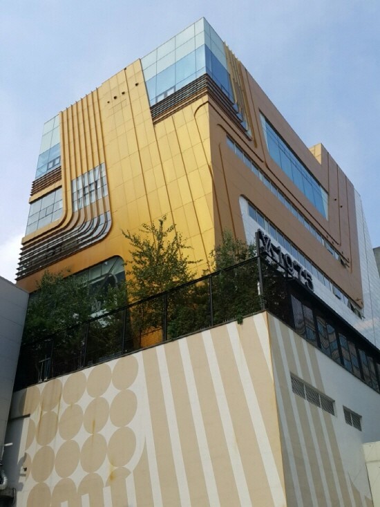 '청담동 주식부자' 이희진 소유 청담동 빌딩 경매 나와 - 뉴스 썸네일 이미지