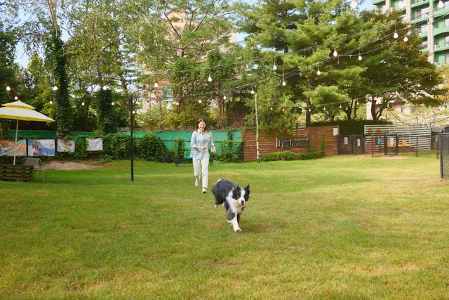 소노인터내셔널-허레이, 반려동물 생태 강화 '맞손' - 뉴스 썸네일 이미지