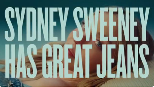 "백인우월주의" VS "페미니즘 억압" 美청바지 광고에 누리꾼 '갑론을박... - 뉴스 썸네일 이미지