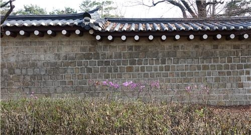 <b>경복궁</b>도 천연기념물도 관광객 <b>노상방뇨</b> '몸살'⋯ "대응책 필요"