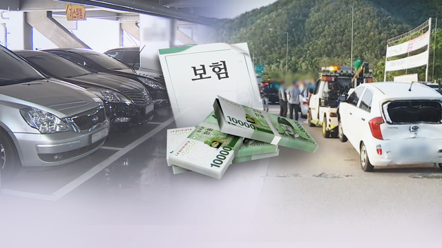 운전자보험 '절판 마케팅' 기승…금융당국 내년 검사